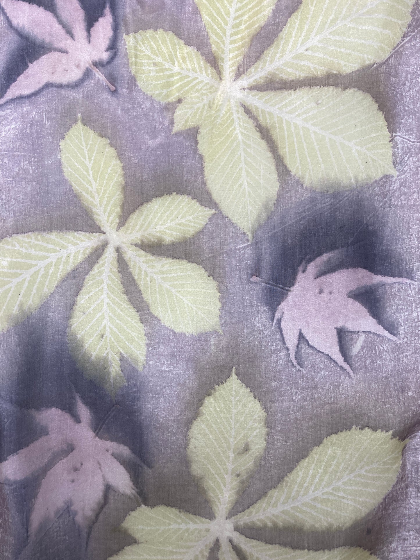 Silk Scarf with Oak Gall Tannin, Horse Chestnut and Acer Leaves [SC80] image 1