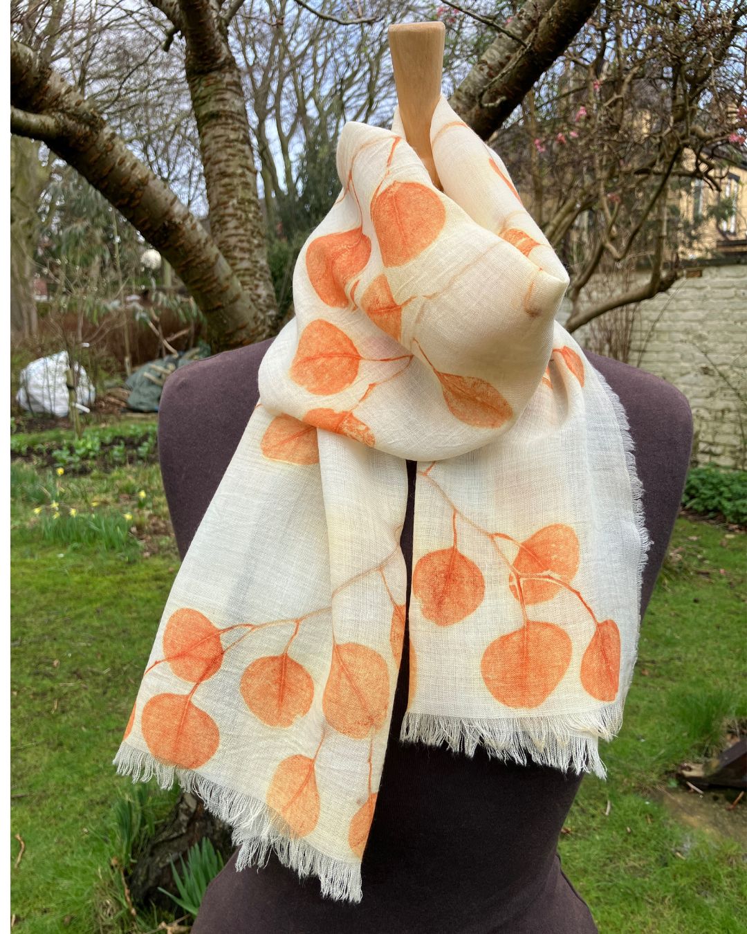 WORKSHOP: Seeing Red with Eucalyptus. Sunday February 22nd 2026