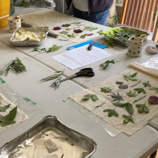 WORKSHOP: A Morning Taster Workshop. Saturday, July 19th 2025